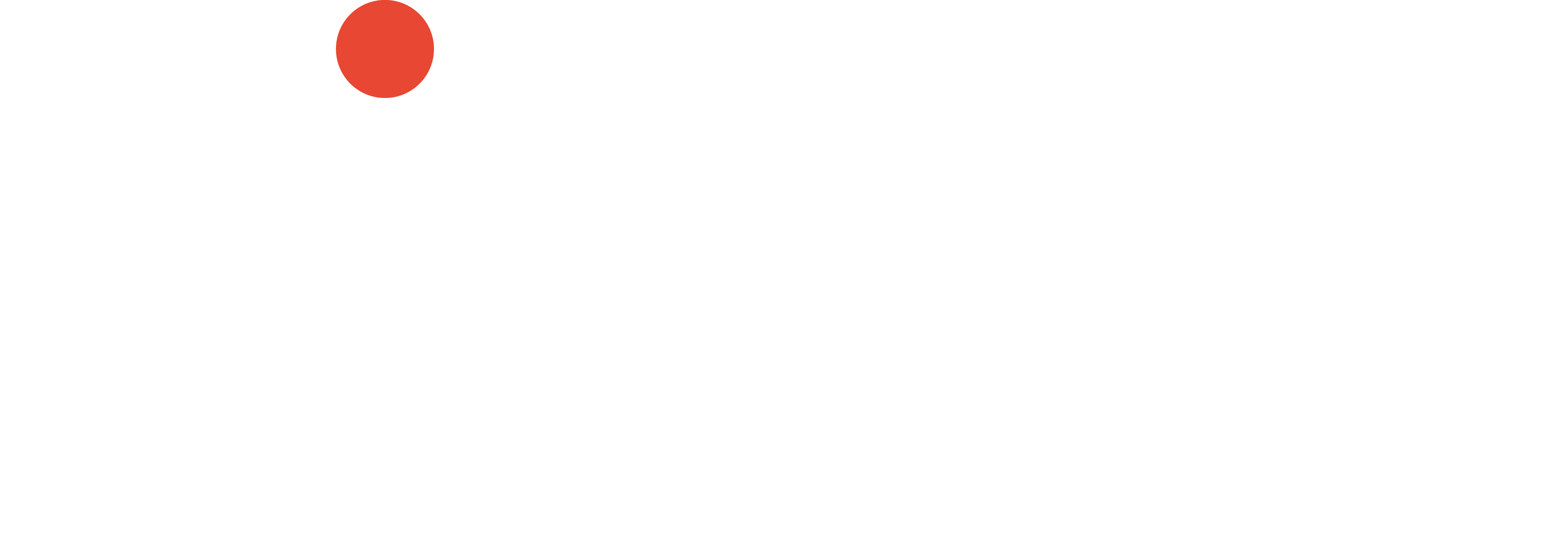 Pimpo Dog